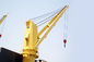 Zdalnie sterowany żuraw pokładowy z wysięgnikiem morskim 20 - 50 ton Dostosowany